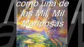 EL VALS DE LAS MARIPOSAS   DANNY DANIEL Música y Letra