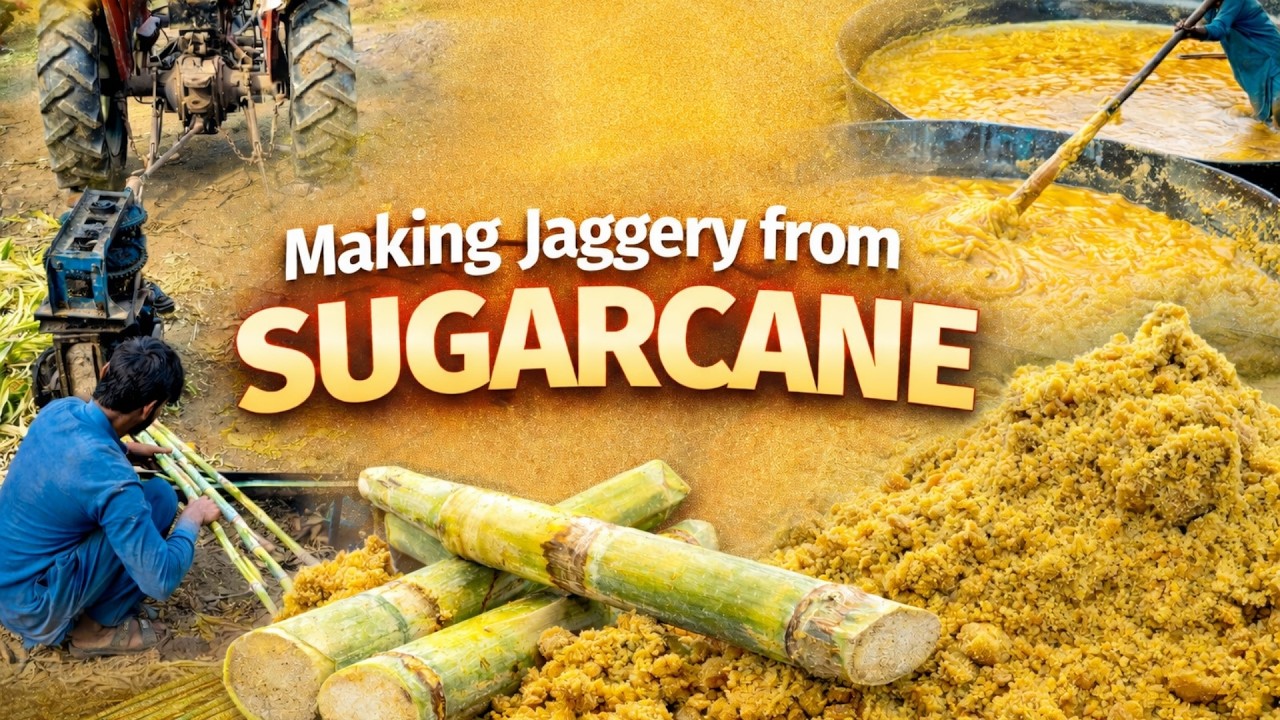 Traditional Jaggery Making from Sugarcane | Village Style Desi Gud Production
