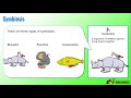 Organism Interactions: Predation, Competition, and Symbiosis Explained