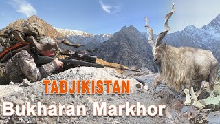Bukharan Markhor hunting  in Tajikistan // Chasse au Markhor de Boukharan au Tadjikistan // 2020
