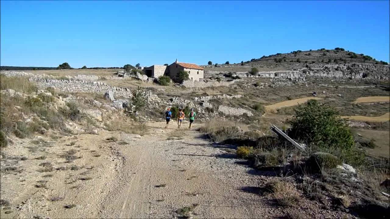 VII Sus Scrofa (Mosqueruela)