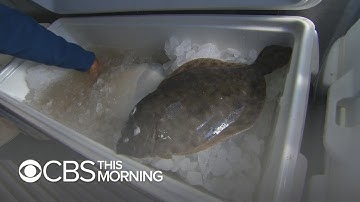 The future of fishing may be more diverse