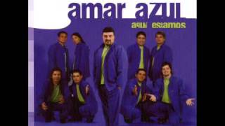 Video thumbnail of "Amar Azul - Tomo vino"