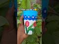 easy craft idea #youtubeshorts #craft