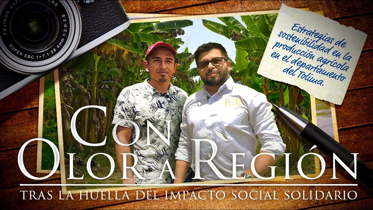 Con Olor a Región Estrategias de sostenibilidad en producción agrícola en el departamento del Tolima