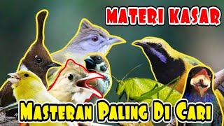 Masteran Kasar Cucak Cungkok Vs Kapas Tembak Tengkek Buto Cililin Kenari