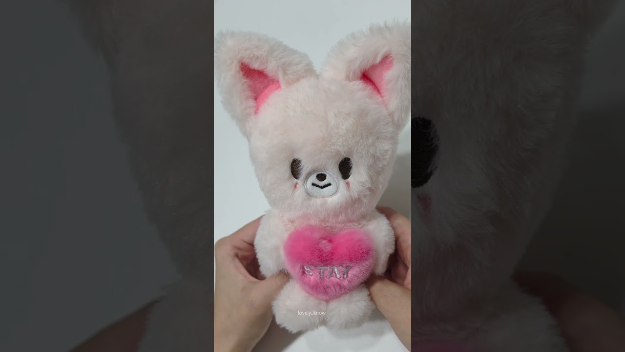SKZOO PLUSH VOICE Ver. FoxI.Ny🩷 #foxiny #폭시니 #아이엔 #IN