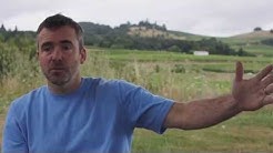 What does a vineyard cost in Oregon?  Ken Pahlow answers