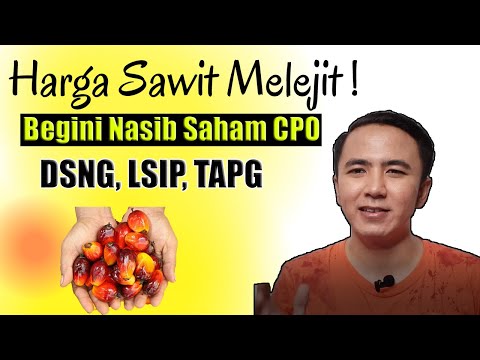 Analisa Saham Akhir Pekan DSNG, LSIP, TAPG | Sektor CPO Melejit