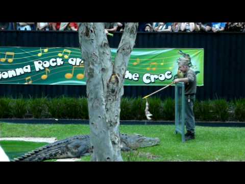 Elvis the Croc