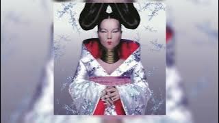 B̲j̲ö̲r̲k̲ | H̲o̲m̲o̲g̲e̲n̲i̲c̲