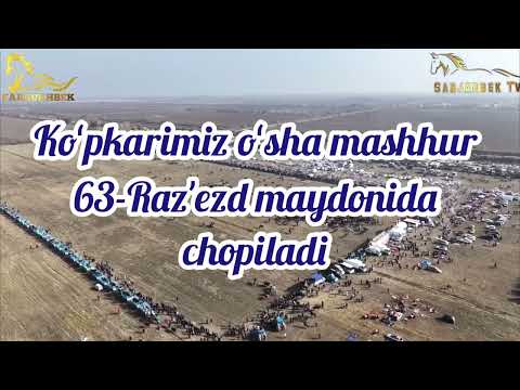 2025-Yilning 19-Fevral kuni