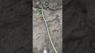 Cleaning My Dirty Feet