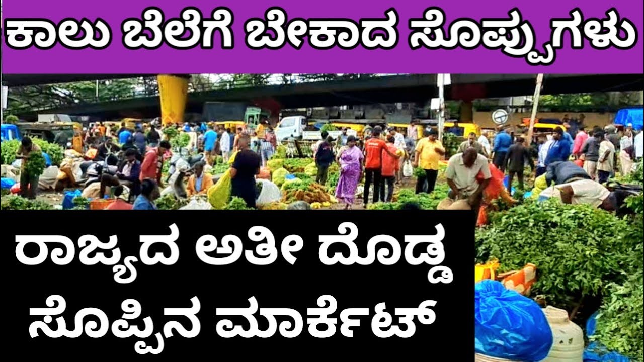 ರಾಜ್ಯದ ಅತಿ ದೊಡ್ಡ ಸೊಪ್ಪಿನ ಮಾರುಕಟ್ಟ ಬರಿ ಕಾಲ ಬೆಲೆಗೆ State's largest vegetable market all at quart price