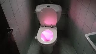 Veilleuse led pour cuvette des toilettes wc avec détecteur de mouvement la  nuit Light Bowl - Conforama