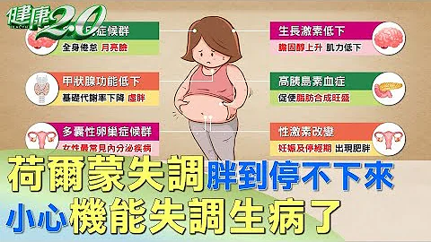 荷爾蒙失調胖到停不下來 小心機能失調生病了 健康2.0 - 天天要聞