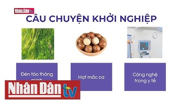 Thúc đẩy thanh niên khởi nghiệp đổi mới sáng tạo