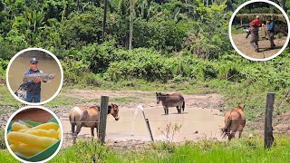 Colocamos água na Represa, Ákila fez o Bolo Explosivo na toca. Pescamos e fizemos um frito na hora.