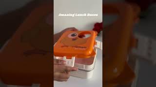 🍱✨ Unboxing Amazing Lunch Box | Stylish & Useful Meesho Find 😍