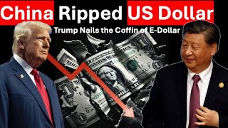 US Halts Digital Dollar Plans while China Pushes CBDC Worldwide: A Costly Error by Trump?