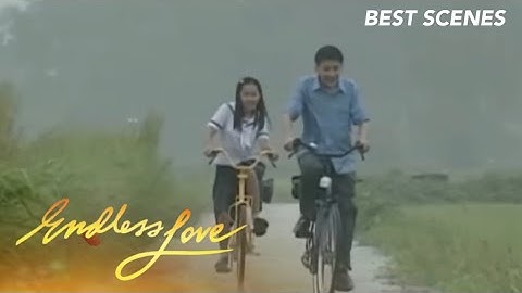 Best Scenes from 