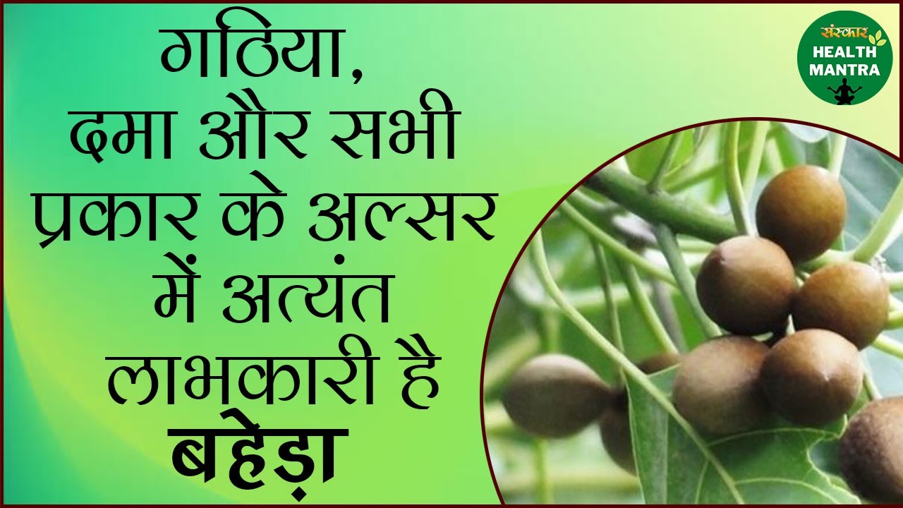 गठिया, दमा और सभी प्रकार के अल्सर में अत्यंत लाभकारी है बहेड़ा | Benefits Of Baheda | Health Mantra