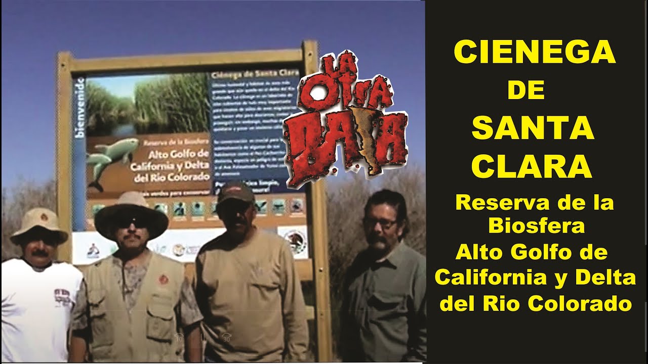 CIENEGA DE SANTA CLARA. Alto Golfo de California y Delta del Río