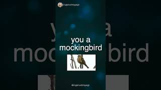 Mockingbird