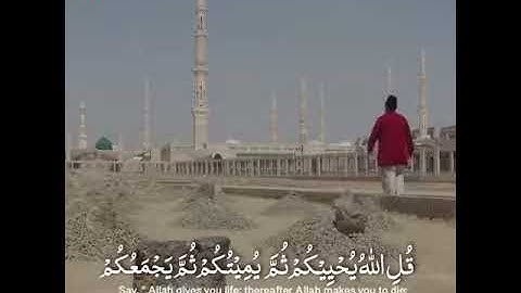 آيات تدل على عظمة الخالق سبحانه#أرح_سمعك.