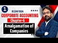 Amalgamation of Companies | Corporate Accounting chapter-6 | CWG for BCOM