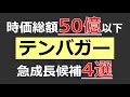 【テンバガー】時価総額50億以下の割安テンバガー候補4銘柄を紹介(2024年開始の新NISAで保有も？！)