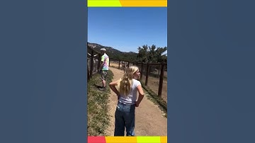 NÊN LÀM CÁI BẢNG BỰ HƠN NHA | #shorts #pets #zebra