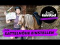 Sattelhöhe einstellen & messen feat. Mini-Pony Beverly - How To fahrRad #4