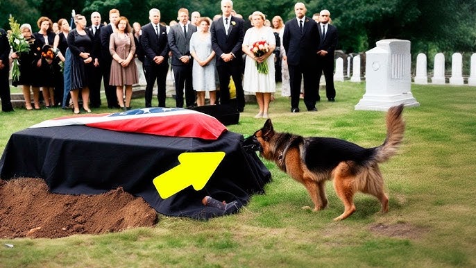 Police Dog Saves Officer Buried Alive… What He Did Next Will Break Your  Heart 💔🐾 | True Miracle - YouTube
