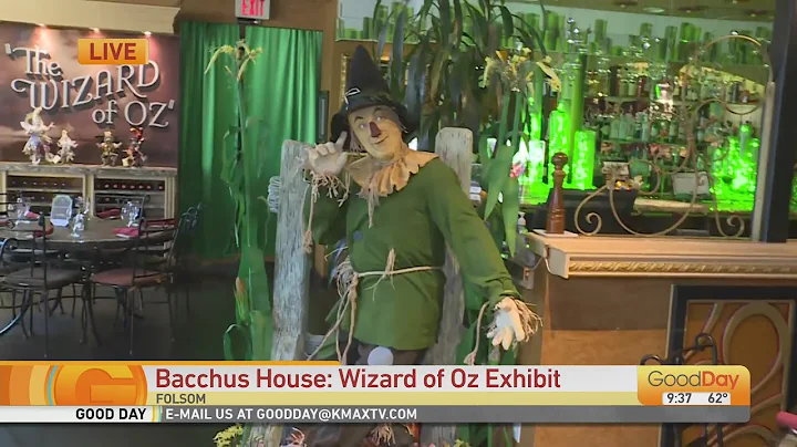 Bacchus House:  Wizard of Oz Exhibit