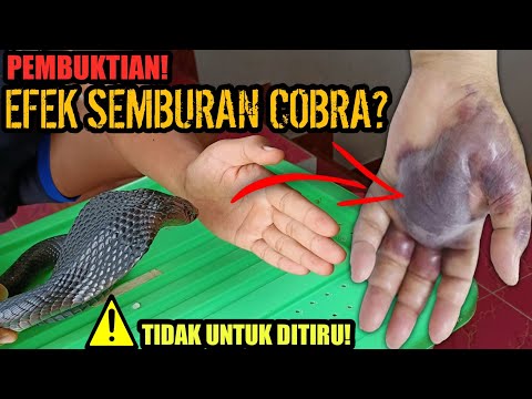 Video: Apakah kegunaan penyembur?