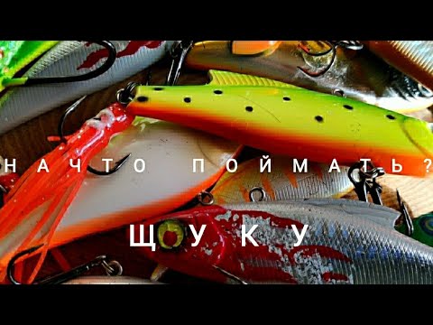 На ЧТО поймать ЩУКУ в реке Амур?!чекай видос и узнаешь!