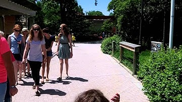 Toledo Zoo - June 2013 - Part 3