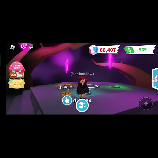 10-cute-food-themed-names-for-your-pets-roblox-robloxgame-adoptme