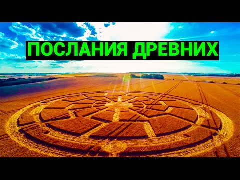 Какая сила создает таинственные круги на полях