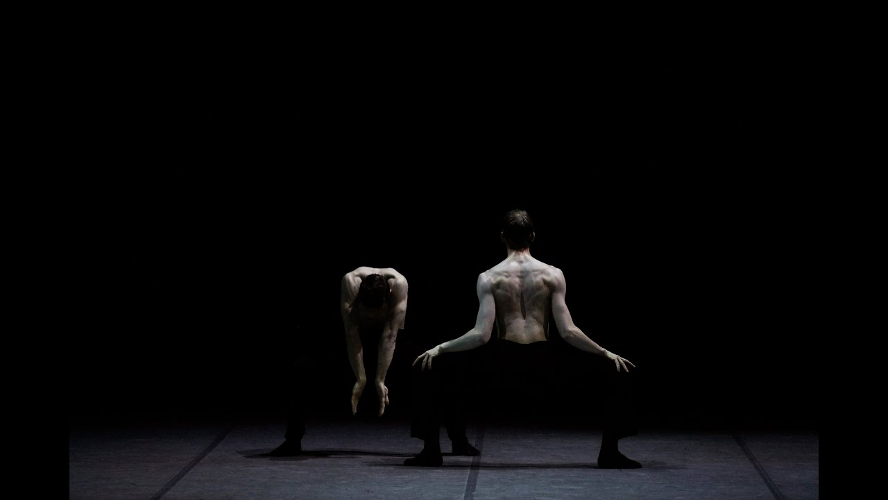 Marco Goecke FIREBIRD _ I