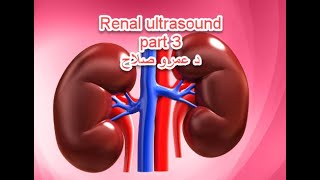 Abdominal U/S course : lecture 10a ( kidney ) part 3 د عمرو صلاح