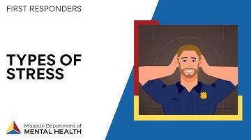 Final Responders: Types of Stress