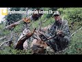 BULL DOWN, 16YDS!..HNH CO Public Land Elk Hunt 2020