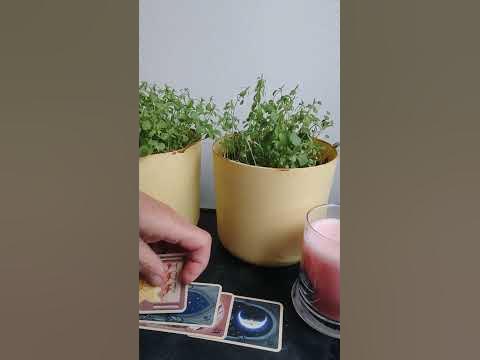 #таро жалеет ли он о сказанном, и чувствует ли себя виноватым? - YouTube