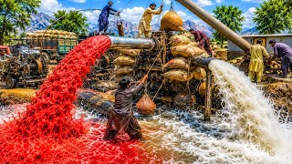 Nothing Can Stop Them ُThey Can Extract Treasure From Anywhere! ُLike Oceans , Mountains, and Earth