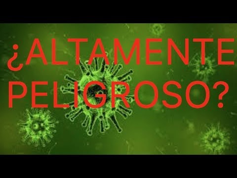 Vídeo: Virus Coxsackie En Niños: Síntomas, Tratamiento, Prevención, Consecuencias