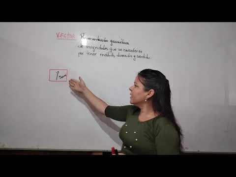 Concepto de vector
