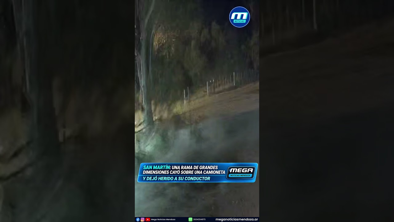 UNA RAMA DE GRANDES DIMENSIONES CAYÓ SOBRE UNA CAMIONETA Y DEJÓ HERIDO A SU CONDUCTOR