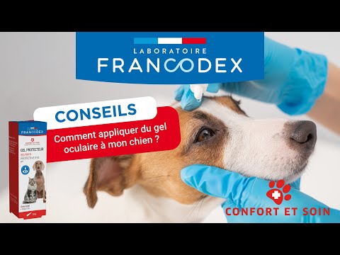 Francodex Gel Articulaire au CBD pour chien